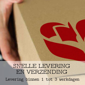 Slide3_SnelleLevering2
